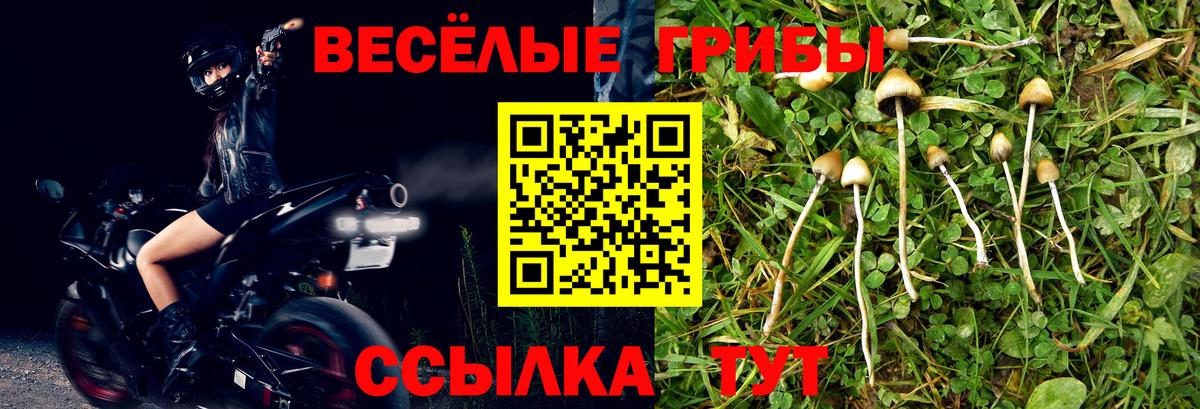 Ульяновск  Псилоцибиновые грибы мицелий  Вход с VPN 