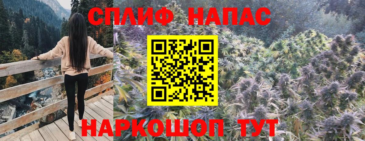 Ульяновск  Шишки марихуана планчик  Вход с VPN  Конопля тримм 